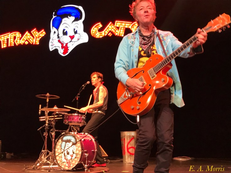 Brian Setzer 2 Blue Shirt Still.jpg